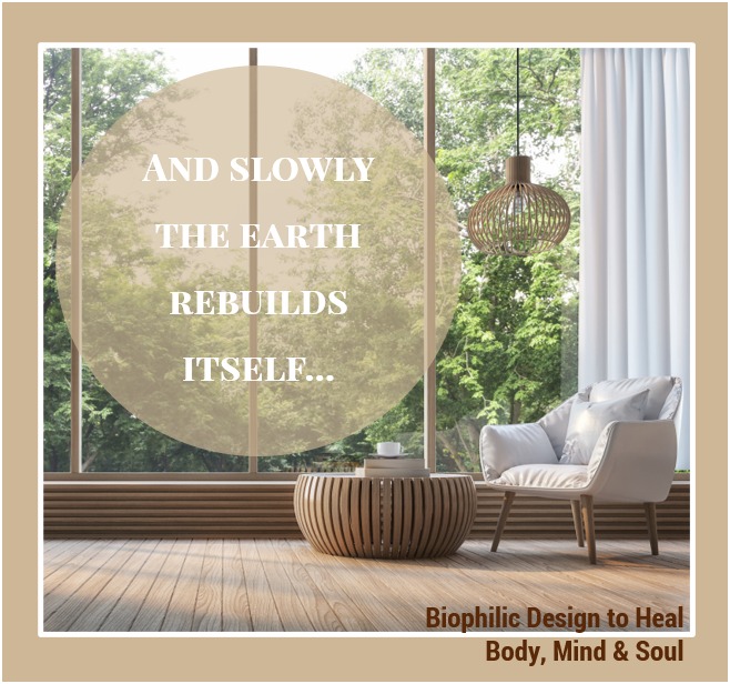 Earth Rebuilds